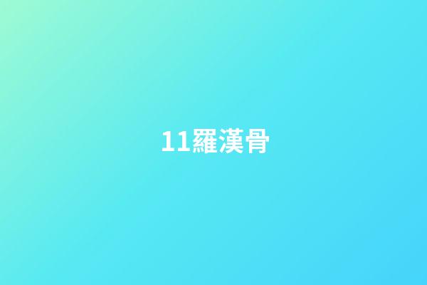 11.羅漢骨