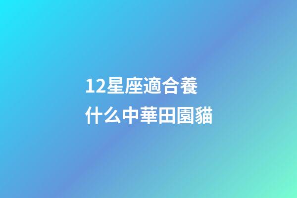 12星座適合養什么中華田園貓