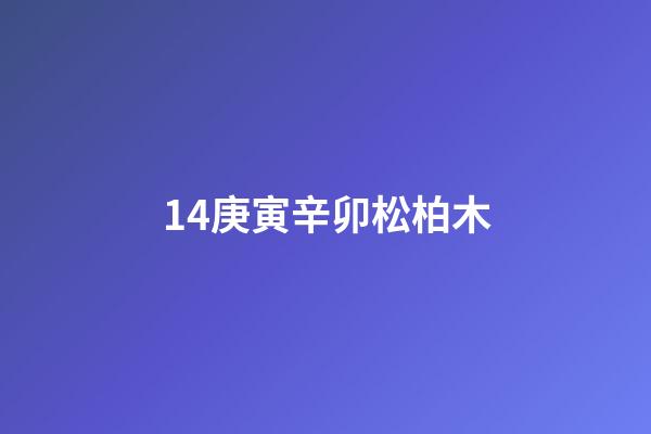 14.庚寅辛卯松柏木