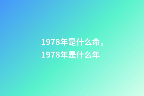 1978年是什么命，1978年是什么年