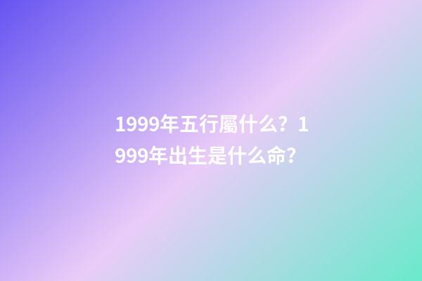 1999年五行屬什么？1999年出生是什么命？