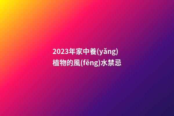 2023年家中養(yǎng)植物的風(fēng)水禁忌