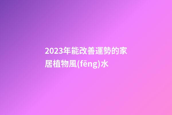 2023年能改善運勢的家居植物風(fēng)水
