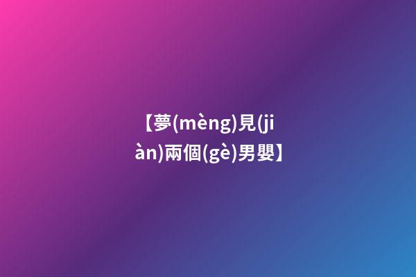 【夢(mèng)見(jiàn)兩個(gè)男嬰】