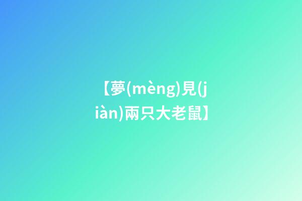 【夢(mèng)見(jiàn)兩只大老鼠】