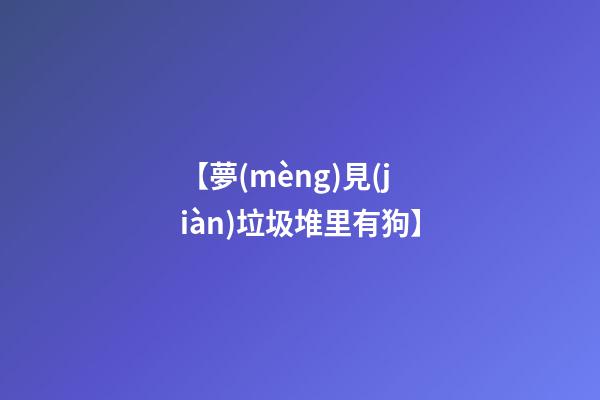【夢(mèng)見(jiàn)垃圾堆里有狗】