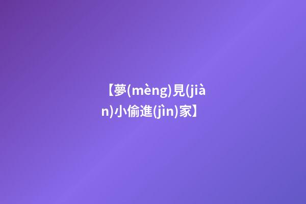 【夢(mèng)見(jiàn)小偷進(jìn)家】