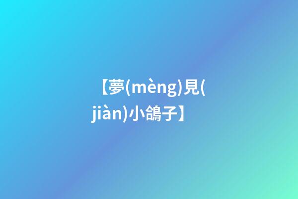 【夢(mèng)見(jiàn)小鴿子】