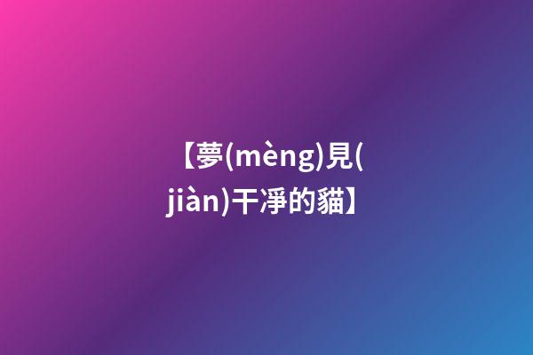 【夢(mèng)見(jiàn)干凈的貓】
