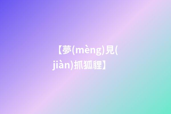 【夢(mèng)見(jiàn)抓狐貍】
