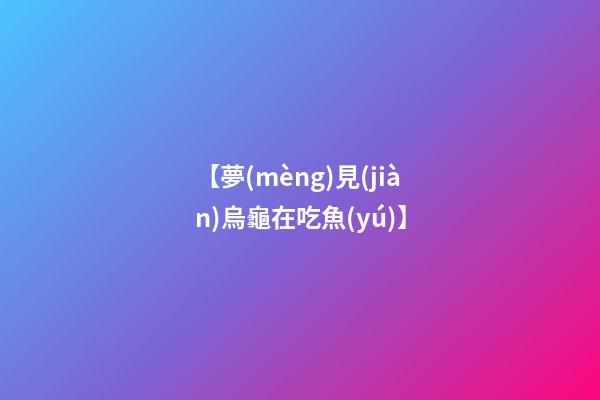 【夢(mèng)見(jiàn)烏龜在吃魚(yú)】