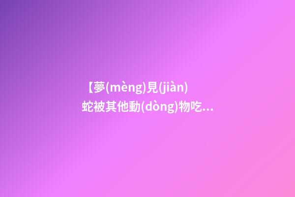 【夢(mèng)見(jiàn)蛇被其他動(dòng)物吃了】