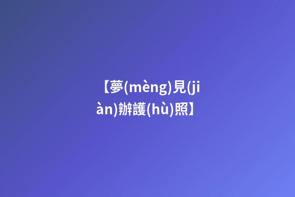 【夢(mèng)見(jiàn)辦護(hù)照】