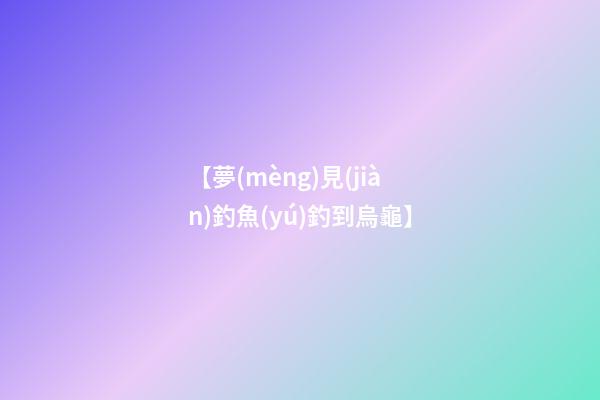 【夢(mèng)見(jiàn)釣魚(yú)釣到烏龜】