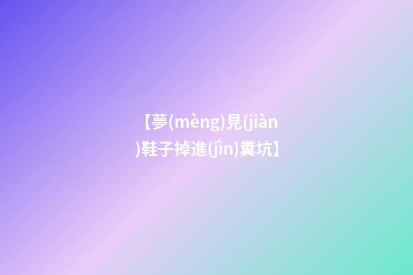 【夢(mèng)見(jiàn)鞋子掉進(jìn)糞坑】