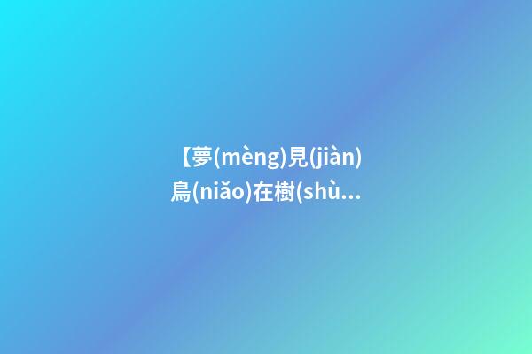 【夢(mèng)見(jiàn)鳥(niǎo)在樹(shù)上】