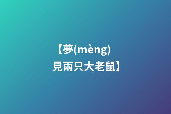 【夢(mèng)見兩只大老鼠】