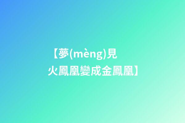 【夢(mèng)見火鳳凰變成金鳳凰】