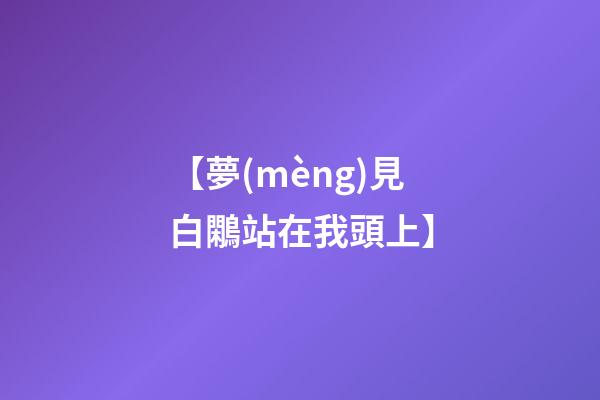 【夢(mèng)見白鷴站在我頭上】