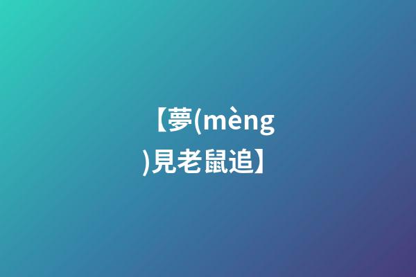 【夢(mèng)見老鼠追】