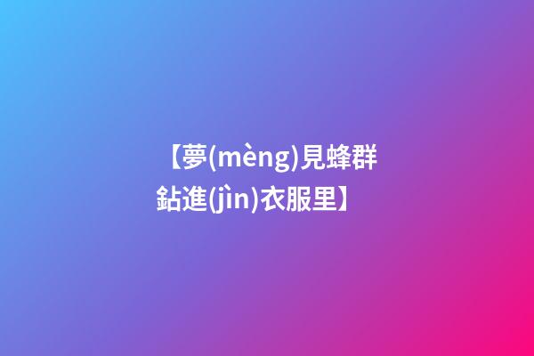 【夢(mèng)見蜂群鉆進(jìn)衣服里】