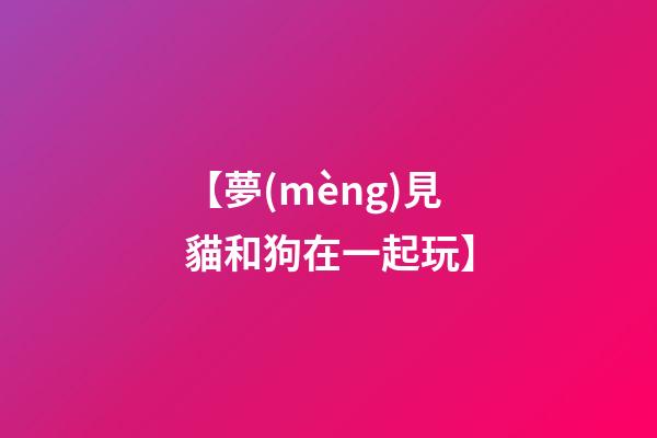【夢(mèng)見貓和狗在一起玩】
