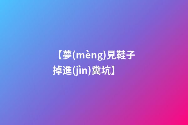 【夢(mèng)見鞋子掉進(jìn)糞坑】