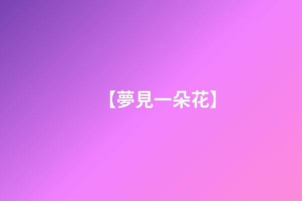 【夢見一朵花】