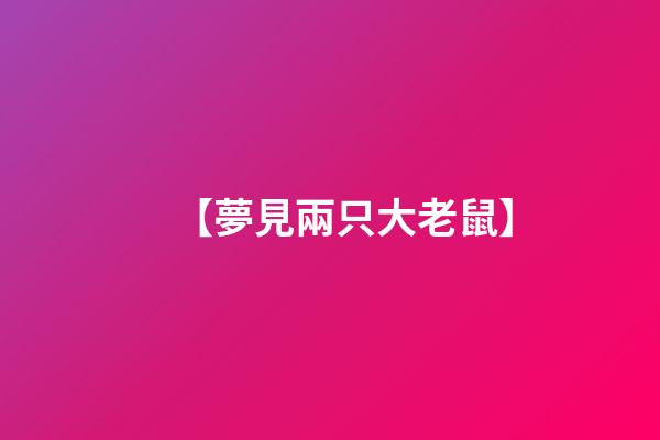 【夢見兩只大老鼠】