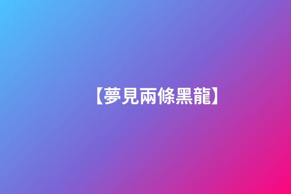 【夢見兩條黑龍】