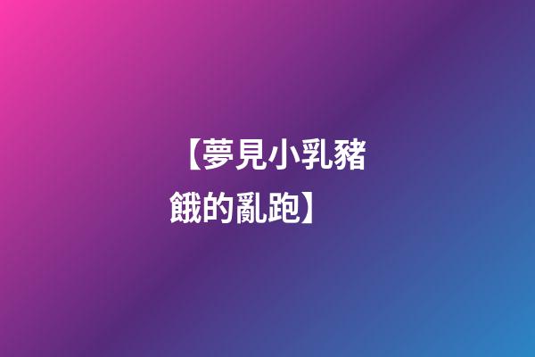 【夢見小乳豬餓的亂跑】