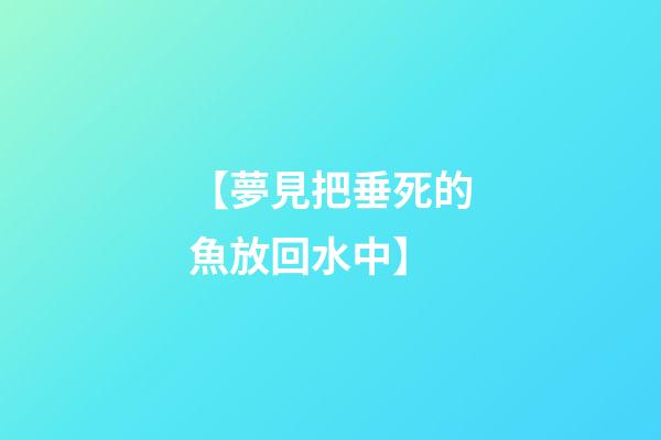 【夢見把垂死的魚放回水中】
