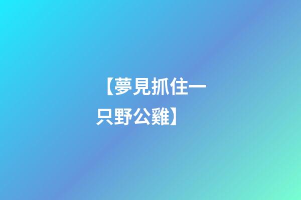 【夢見抓住一只野公雞】