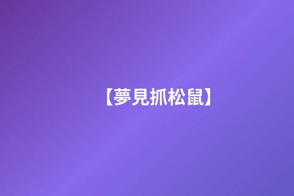 【夢見抓松鼠】