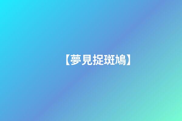 【夢見捉斑鳩】