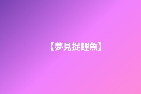 【夢見捉鯉魚】