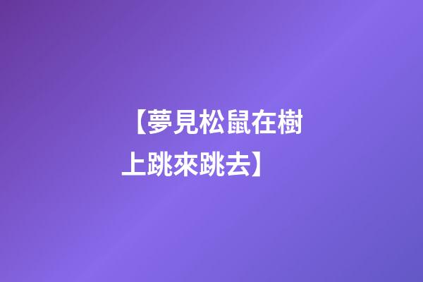 【夢見松鼠在樹上跳來跳去】