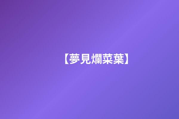 【夢見爛菜葉】