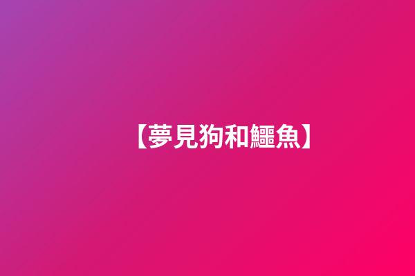 【夢見狗和鱷魚】