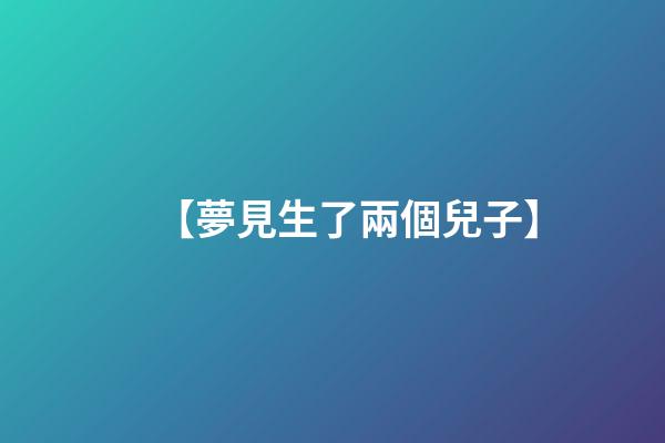 【夢見生了兩個兒子】