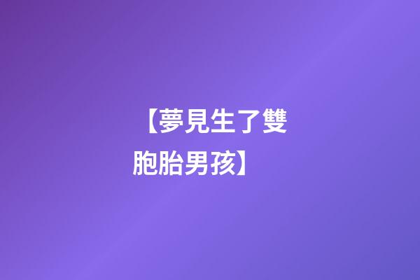 【夢見生了雙胞胎男孩】