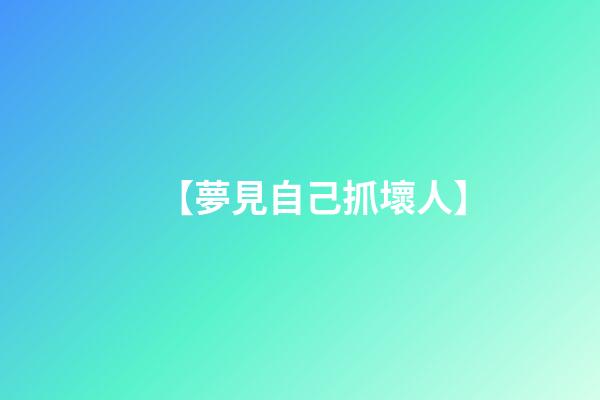 【夢見自己抓壞人】