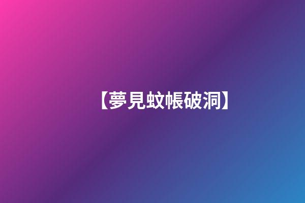 【夢見蚊帳破洞】