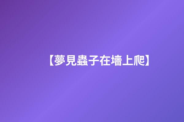 【夢見蟲子在墻上爬】