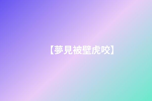 【夢見被壁虎咬】