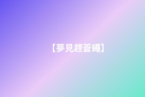 【夢見趕蒼蠅】