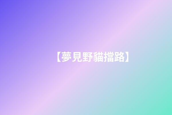 【夢見野貓擋路】