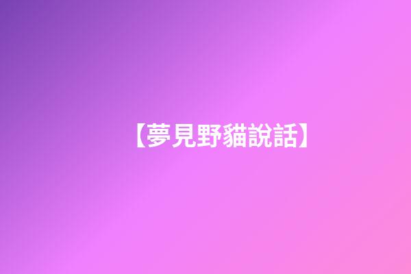 【夢見野貓說話】