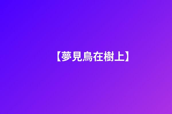 【夢見鳥在樹上】