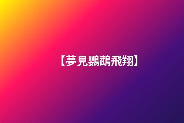 【夢見鸚鵡飛翔】